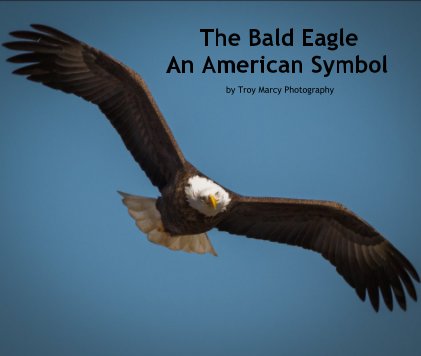 The Bald Eagle 
An American Symbol book cover