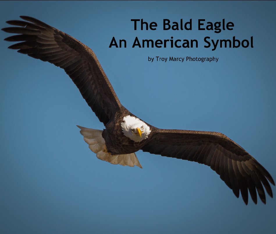 View The Bald Eagle 
An American Symbol by Troy Marcy Photography