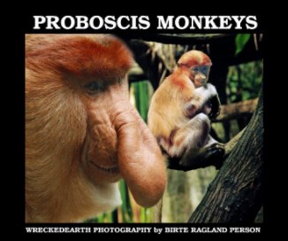 PROBOSCIS MONKEYS book cover