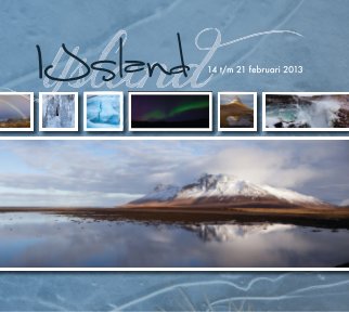 Ijsland 2013 book cover