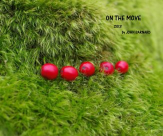 ON THE MOVE book cover
