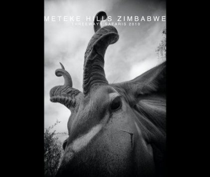 METEKE HILLS ZIMBABWE book cover