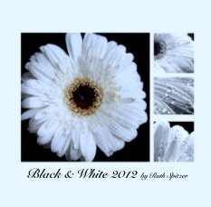 Black & White 2012 by Ruth Spitzer book cover