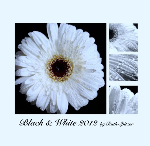 Ver Black & White 2012 by Ruth Spitzer por Ruth Spitzer