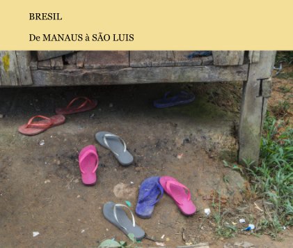 BRESIL De MANAUS à SÃO LUIS book cover
