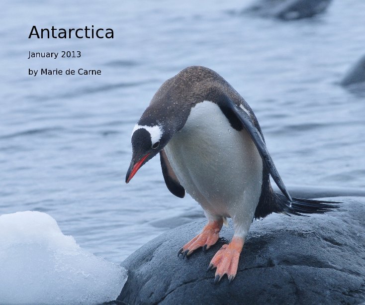 View Antarctica by Marie de Carne