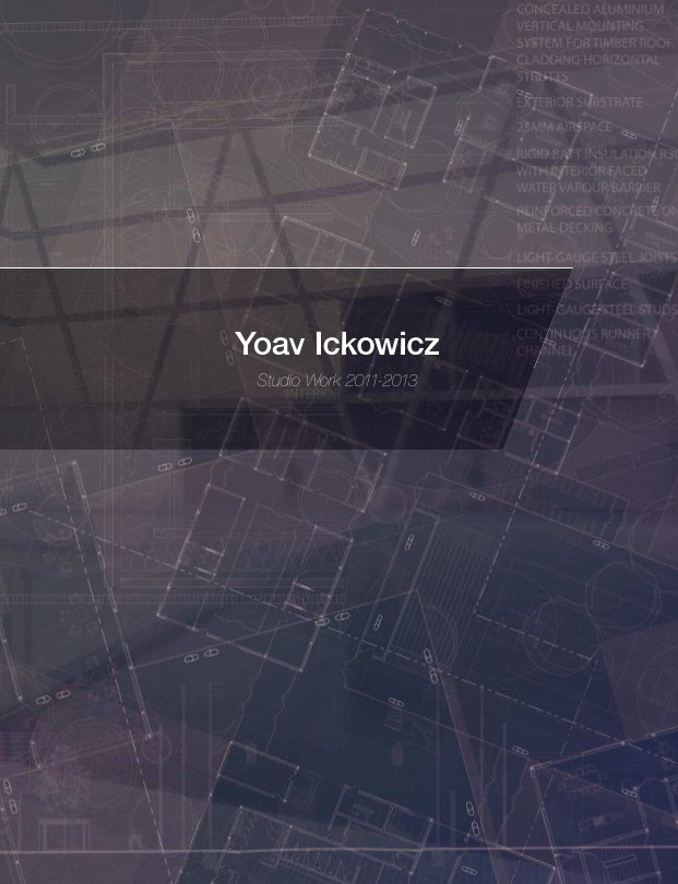 View Yoav Ickowicz: Work 2011-2013 by Yoav Ickowicz