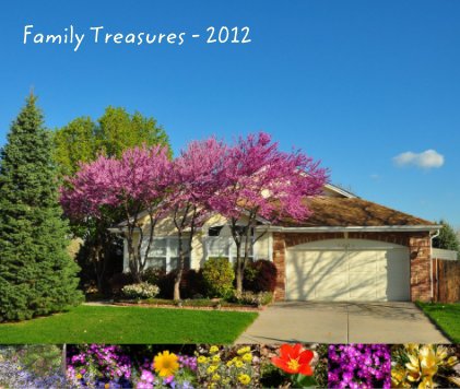Family Treasures - 2012 book cover