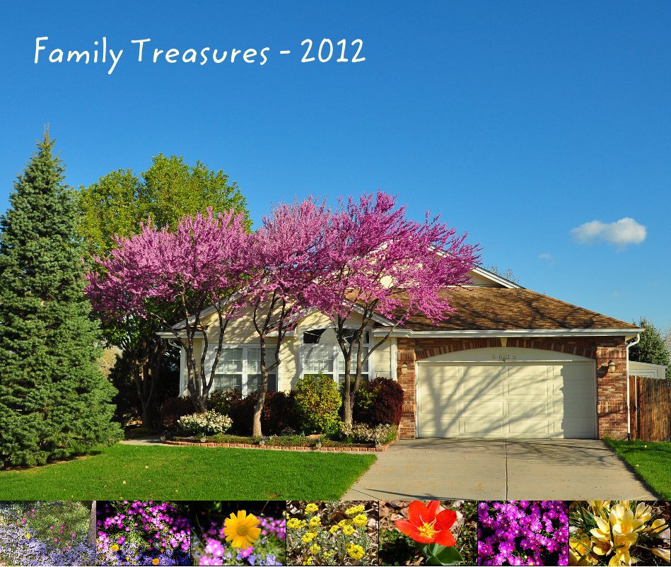 Visualizza Family Treasures - 2012 di RonnPJski