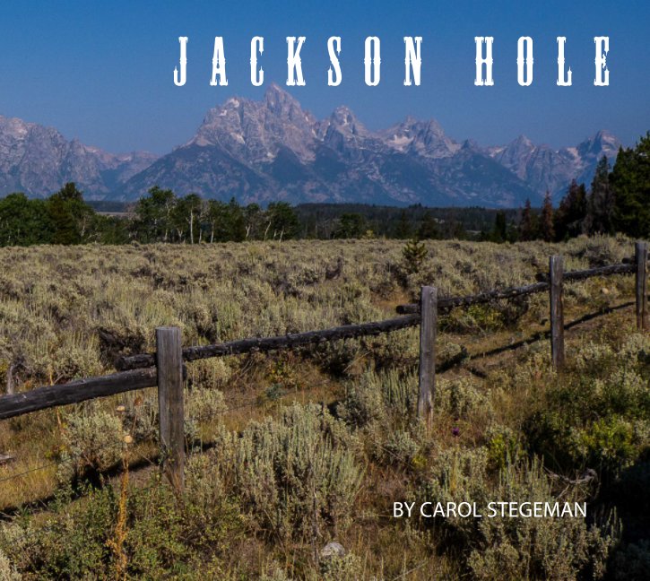 View Jackson Hole by Carol Stegeman