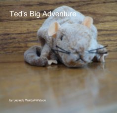 Ted's Big Adventure book cover