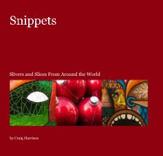 Snippets book cover
