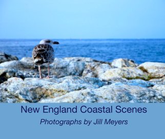 New England Coastal Scenes book cover