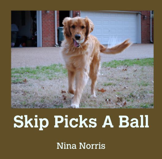View Skip Picks A Ball by Nina Norris