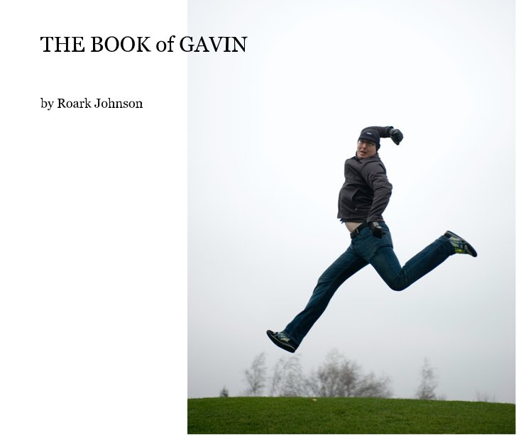 View THE BOOK of GAVIN by Roark Johnson