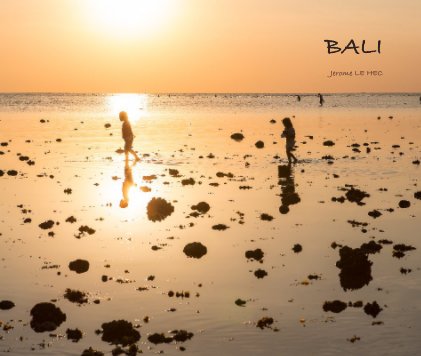 BALI book cover