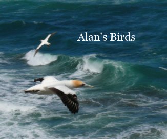 Alan's Birds book cover