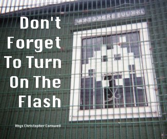 Don't Forget To Turn On The Flash book cover