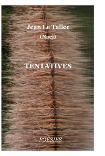 TENTATIVES book cover