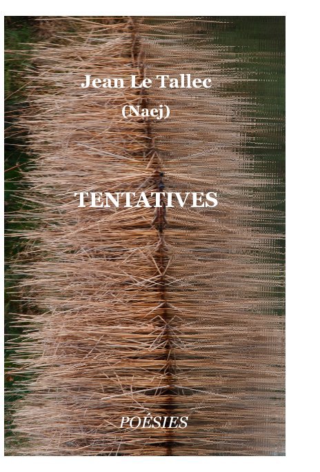 Visualizza TENTATIVES di Jean Le Tallec