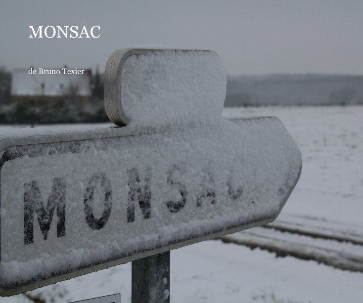 Visualizza MONSAC 2 di de Bruno Texier