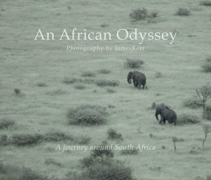 An African Odyssey book cover