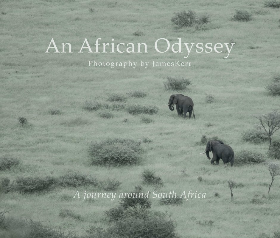 View An African Odyssey by James Kerr