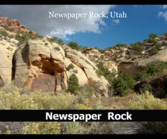 Newspaper Rock, Utah book cover