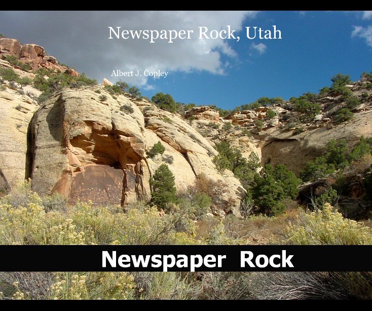 View Newspaper Rock, Utah by Albert J. Copley