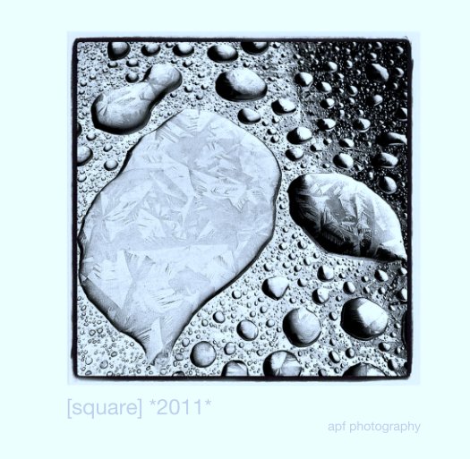 Ver [square] *2011* por andy forbes
