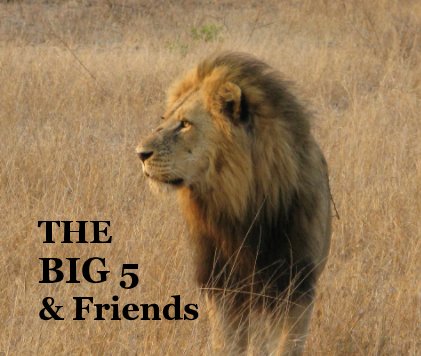 THE BIG 5 & Friends book cover