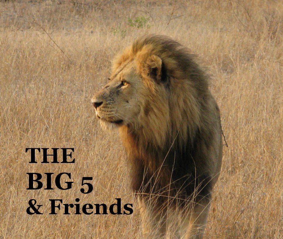 View THE BIG 5 & Friends by Xis Fawkes