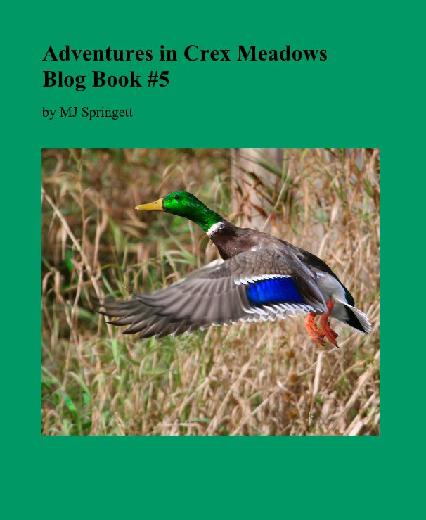 Adventures in Crex Meadows Blog Book #5 nach springettmj anzeigen