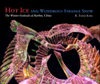 Hot Ice and Wondrous Strange Snow book cover
