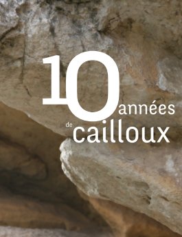 10 années de cailloux book cover