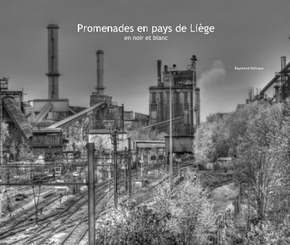 Promenades en pays de Liège en noir et blanc book cover