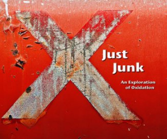 Just Junk book cover