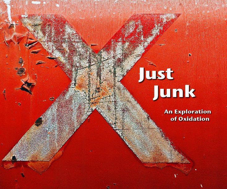View Just Junk by Ernie Viskupic
