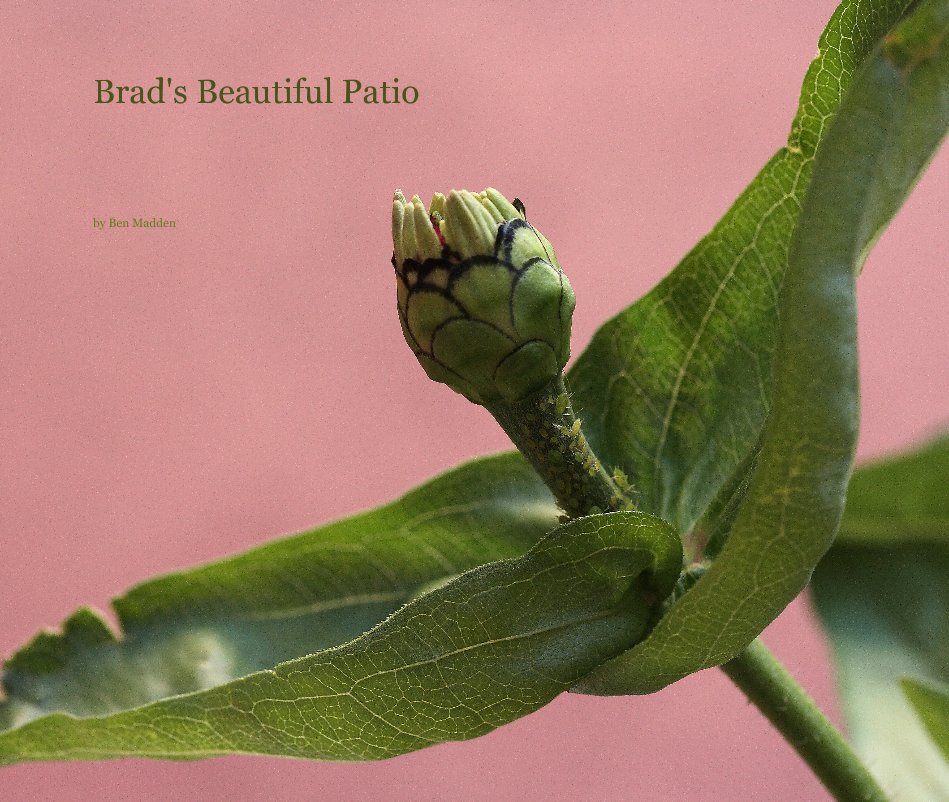 Ver Brad's Beautiful Patio por Ben Madden
