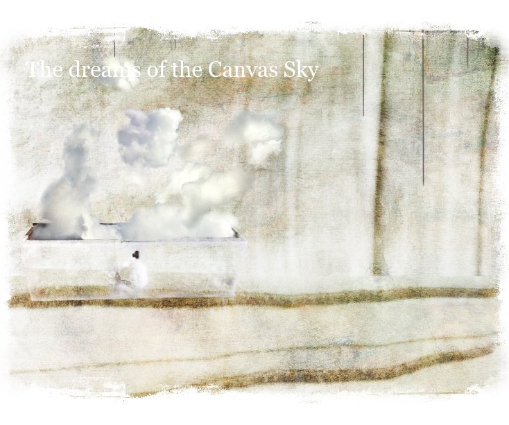View The Dreams of the Canvas Sky by Benamon Tame