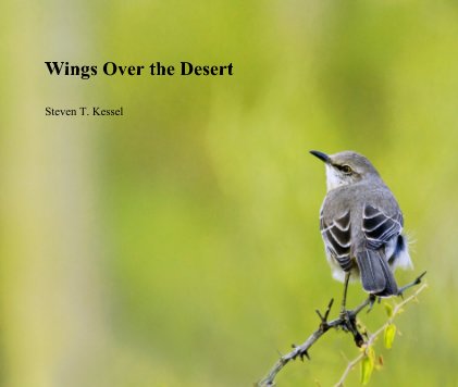 Wings Over the Desert book cover