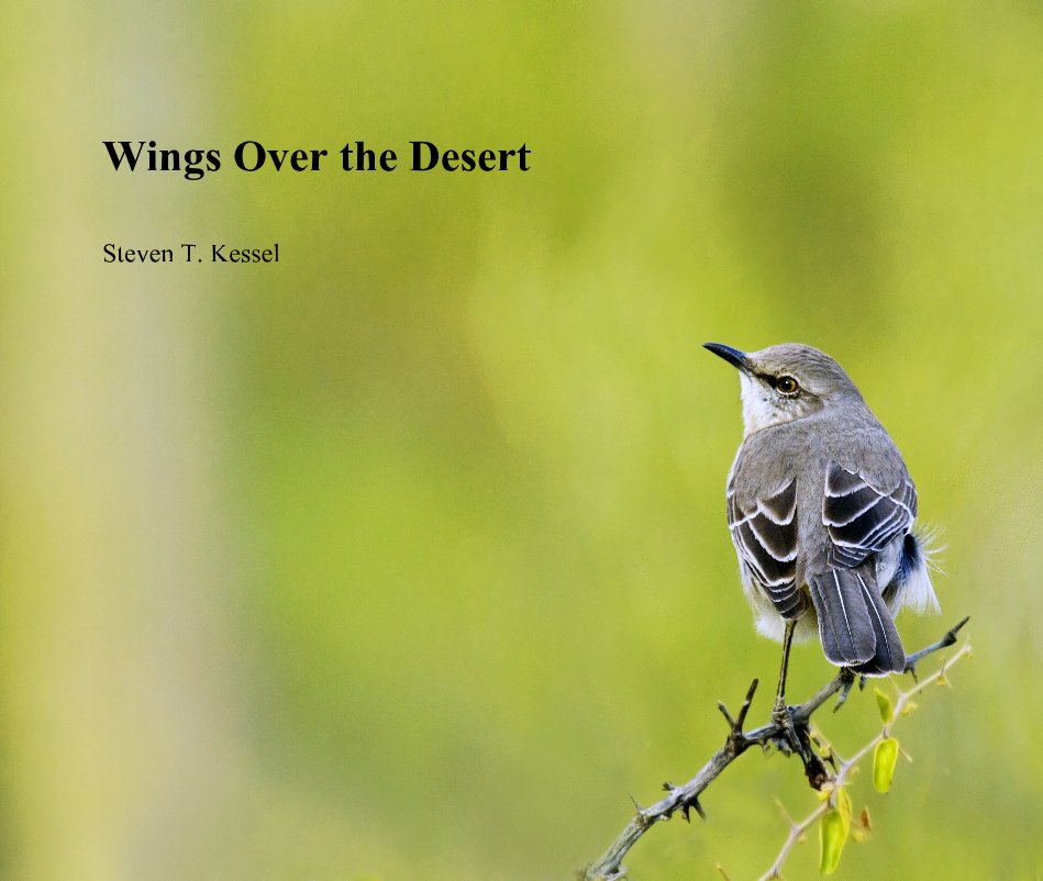 View Wings Over the Desert by Steven T. Kessel