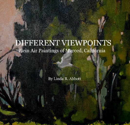 View DIFFERENT VIEWPOINTS Plein Air Paintings of Merced, California by capainter