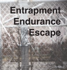 Entrapment, Endurance, Escape book cover