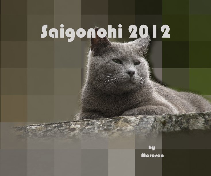 Ver Saigonohi 2012 por Marcsan