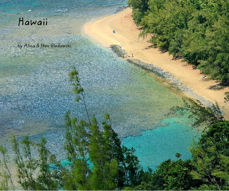 View Hawaii by Alina & Stev Glodowski