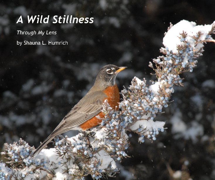 Ver A Wild Stillness por Shauna L. Humrich