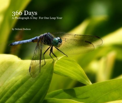366 Days A Photograph A Day For One Leap Year book cover