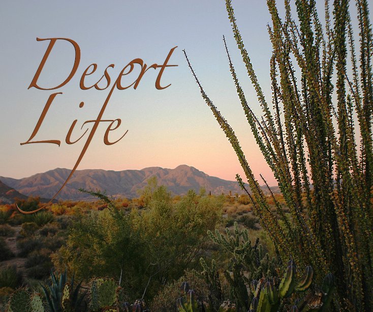 View Desert Life by Susan Copeland