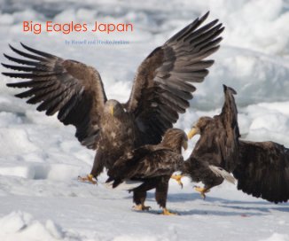 Big Eagles Japan book cover
